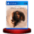 The Dark Pictures Anthology: House of Ashes PS4 - Image 1